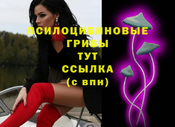 спайс Арсеньев