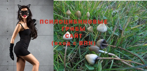 спайс Арсеньев
