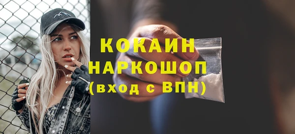 индика Аркадак