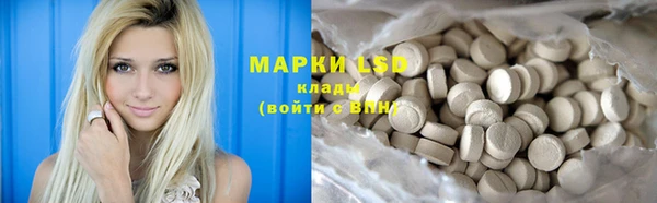 индика Аркадак