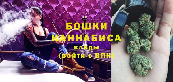 спайс Арсеньев