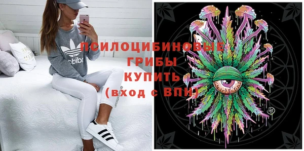 индика Аркадак