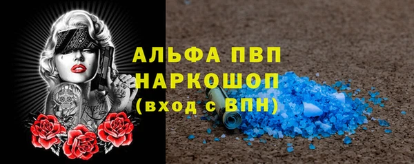 индика Аркадак