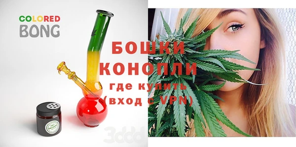 индика Аркадак