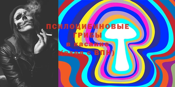 спайс Арсеньев